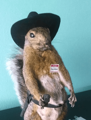 Webspec's mascot Gene Wilder